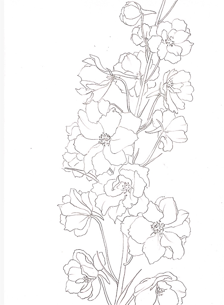 f:id:blossom-art:20210425192004j:image