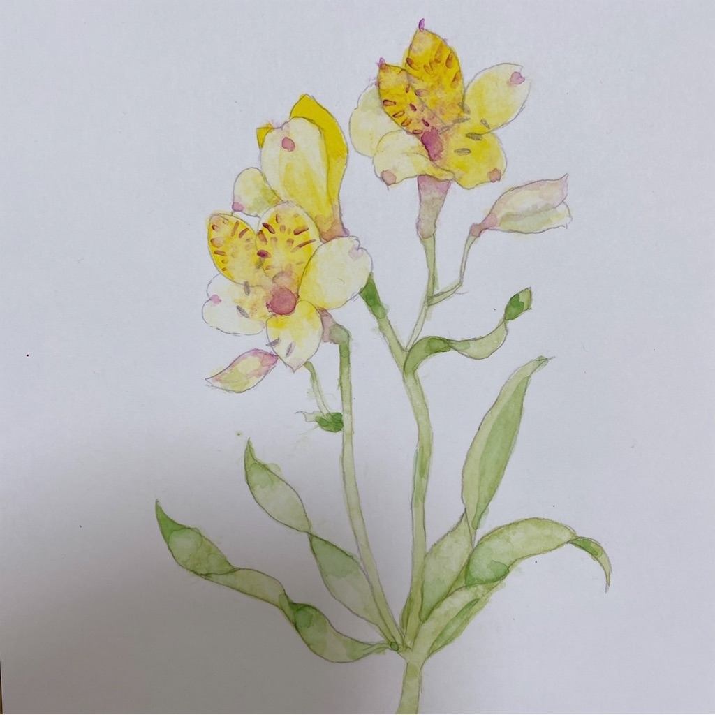 f:id:blossom-art:20210425194110j:image