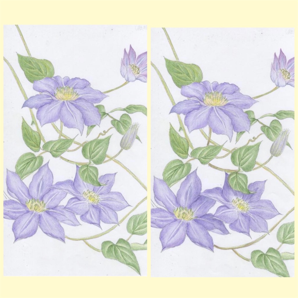 f:id:blossom-art:20210503154117j:image