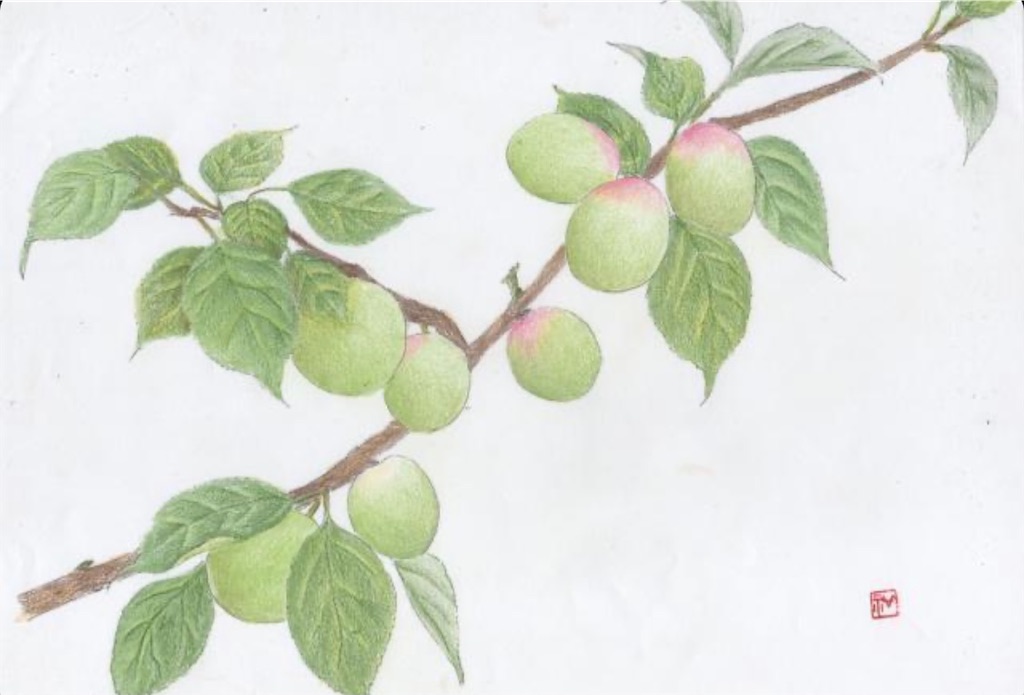 f:id:blossom-art:20210504181102j:image