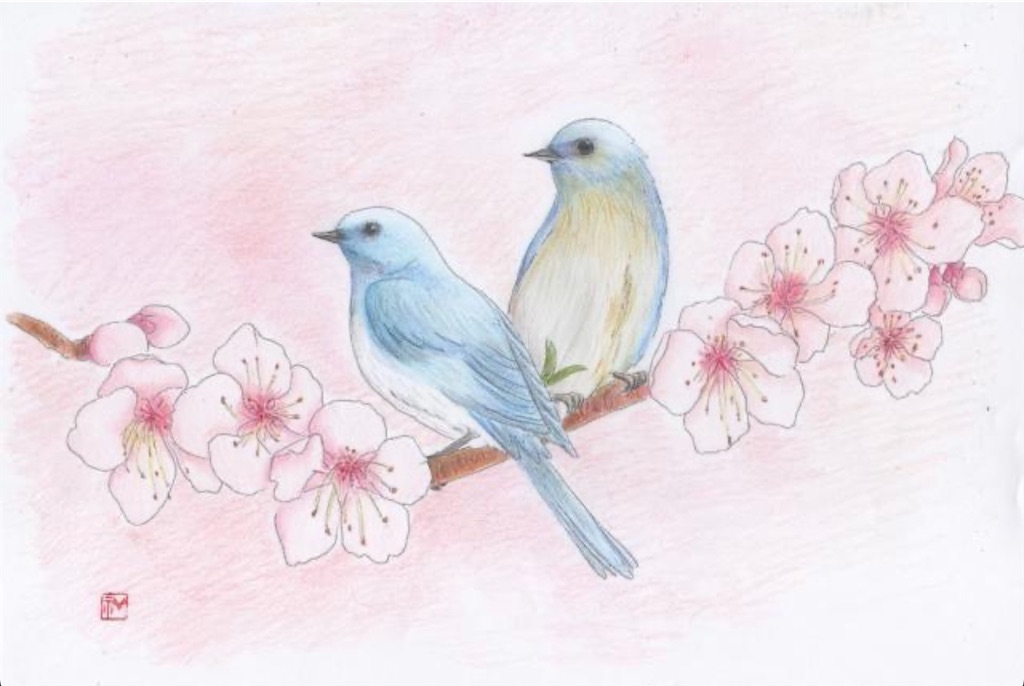 f:id:blossom-art:20210504181118j:image
