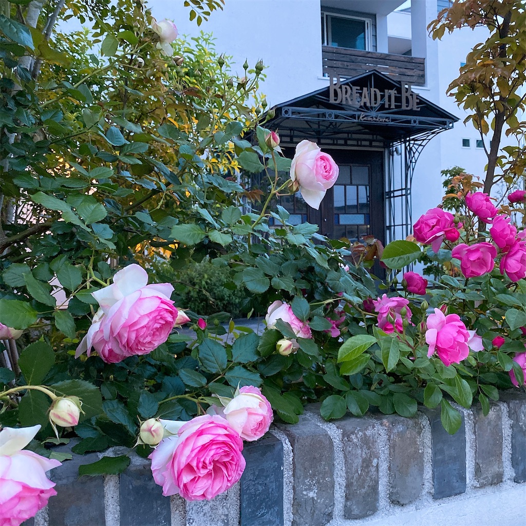 f:id:blossom-art:20210505165553j:image