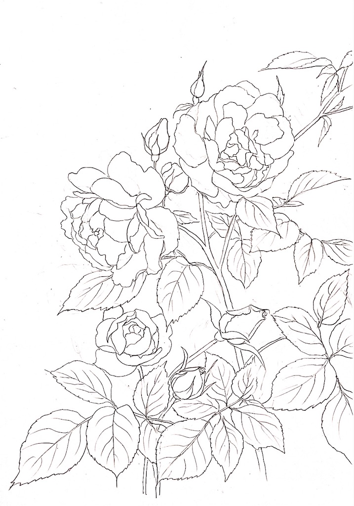 f:id:blossom-art:20210505165844j:image