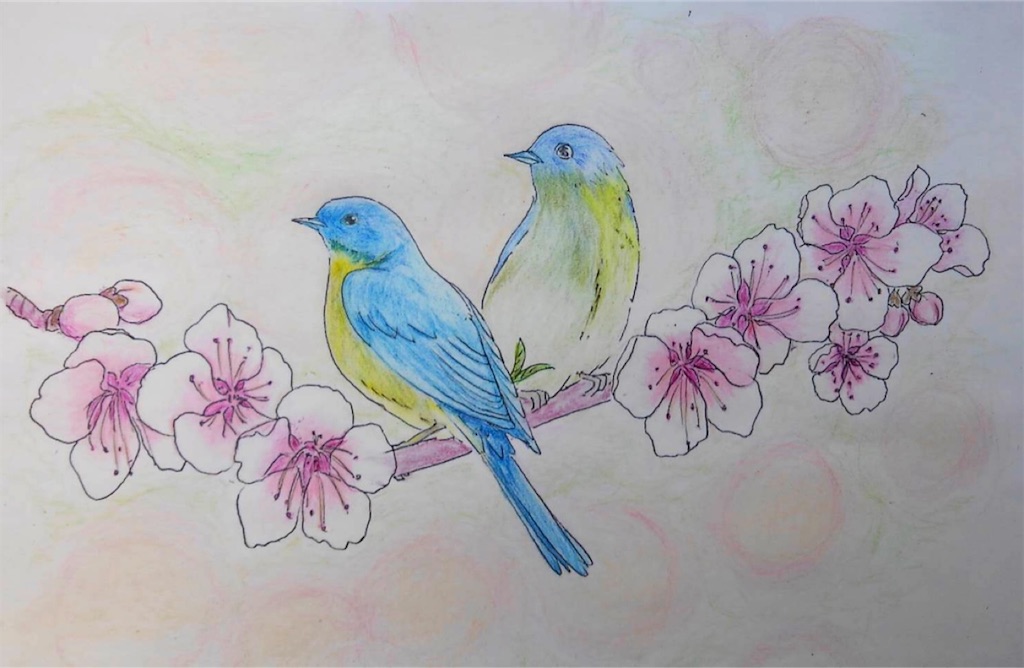 f:id:blossom-art:20210506182849j:image