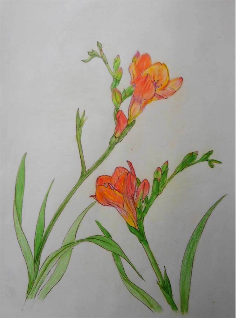 f:id:blossom-art:20210506182918j:image