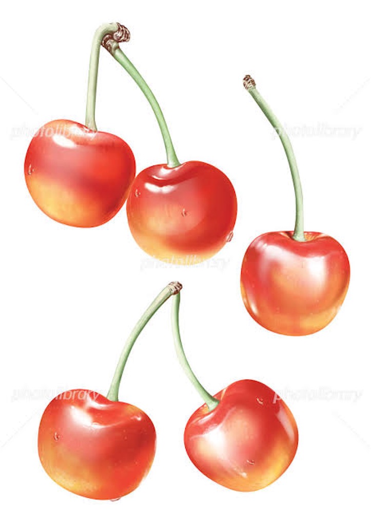 f:id:blossom-art:20210507175857j:image f:id:blossom-art:20210507175857j:image