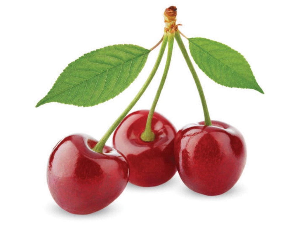 f:id:blossom-art:20210507175910j:image f:id:blossom-art:20210507175910j:image