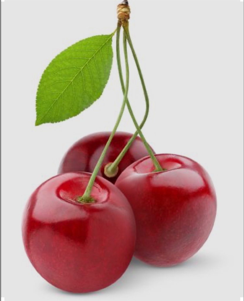 f:id:blossom-art:20210507175923j:image f:id:blossom-art:20210507175923j:image