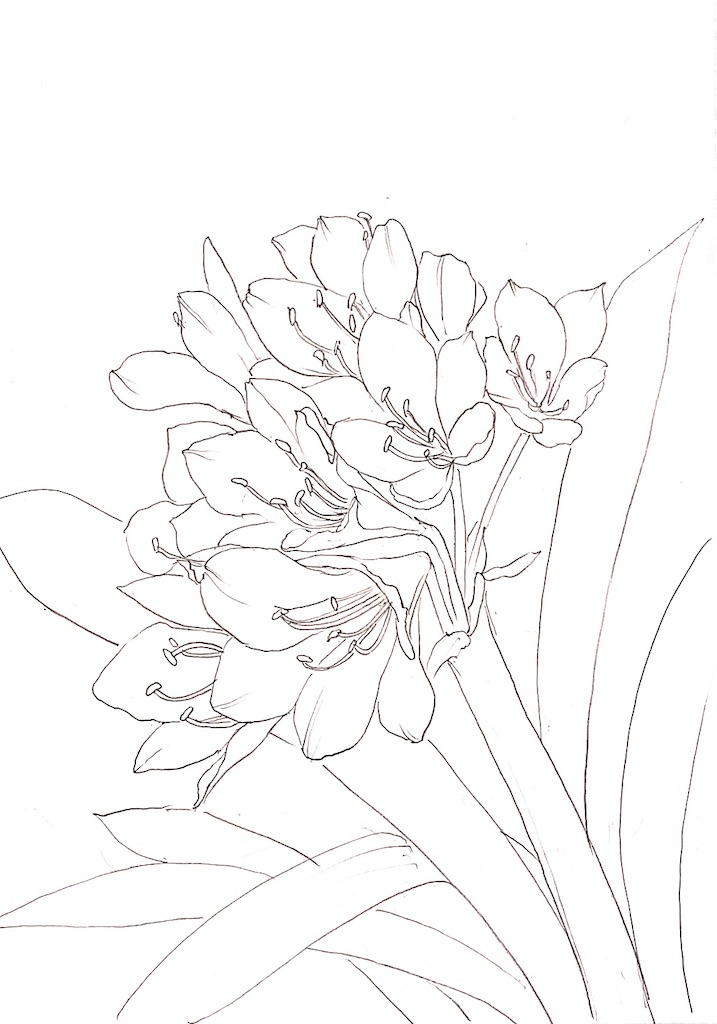 f:id:blossom-art:20210508200540j:image