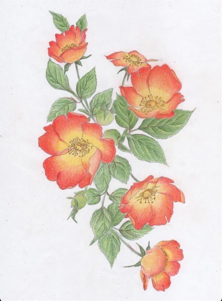 f:id:blossom-art:20210509192838j:image
