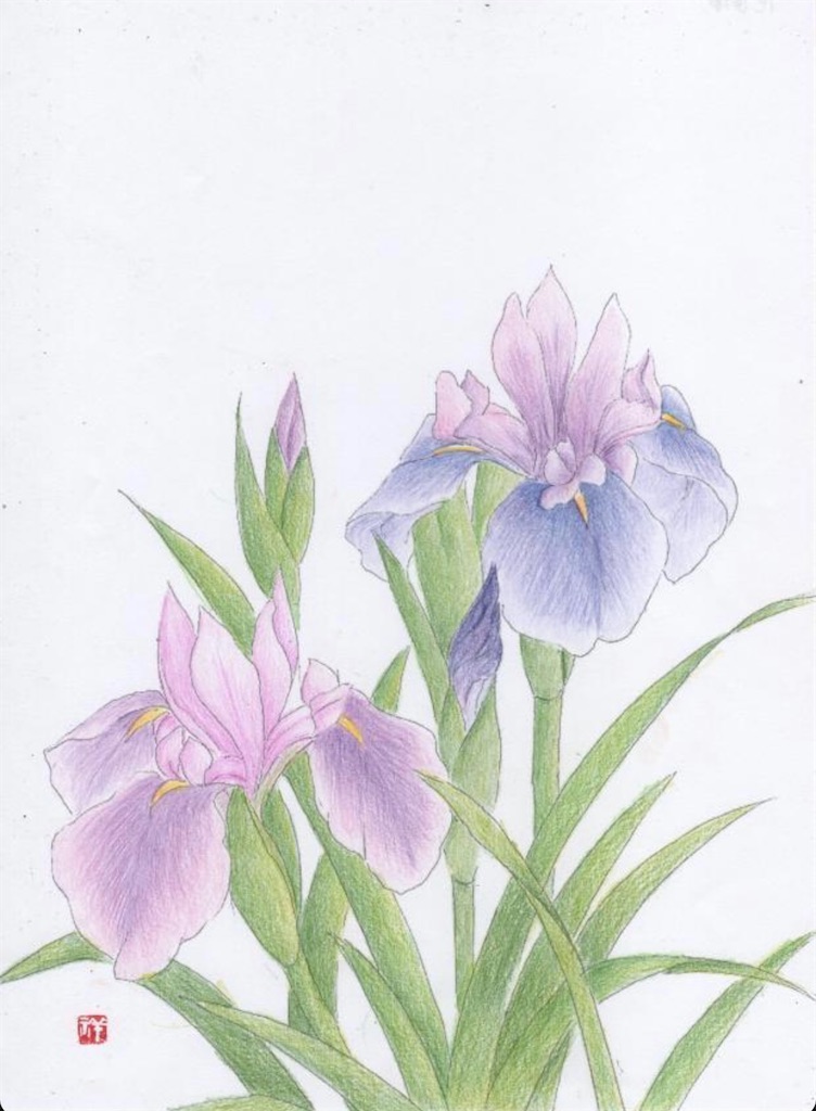 f:id:blossom-art:20210509192853j:image