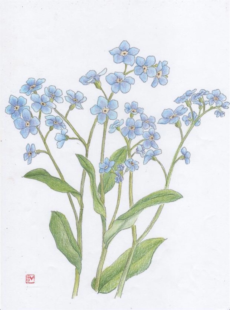 f:id:blossom-art:20210509192905j:image