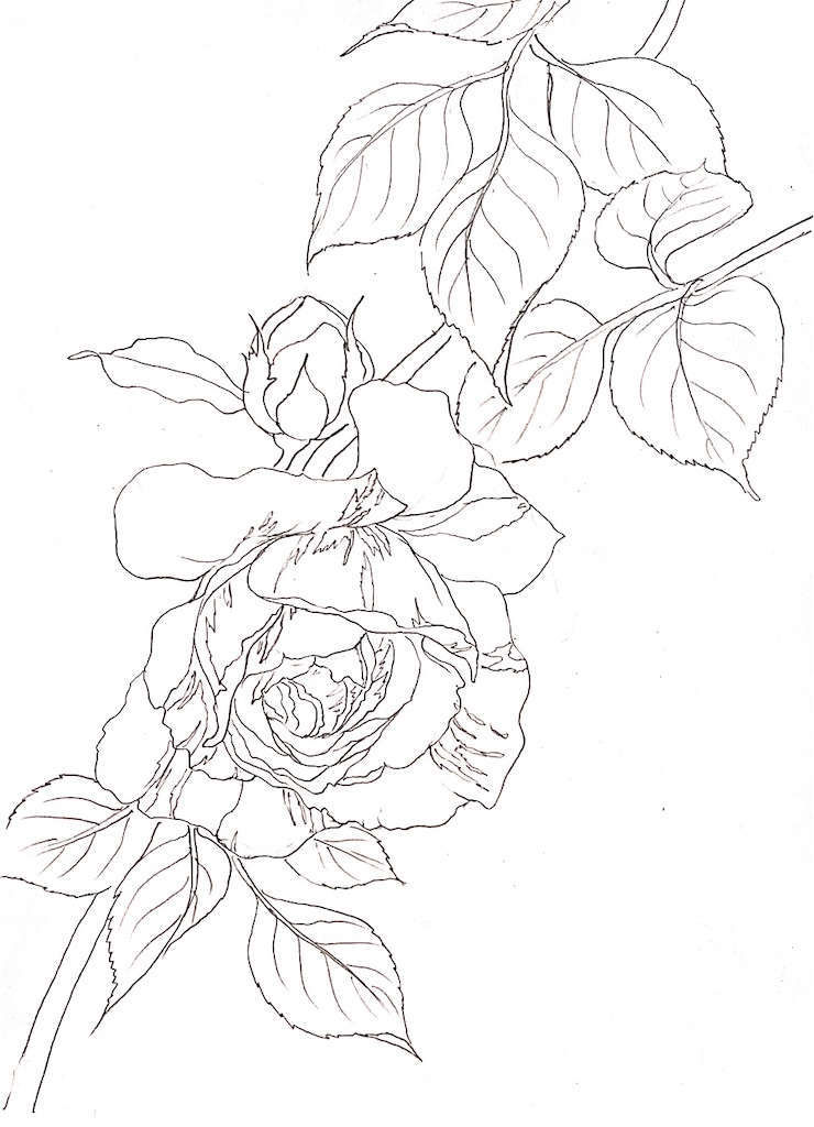 f:id:blossom-art:20210509193032j:image