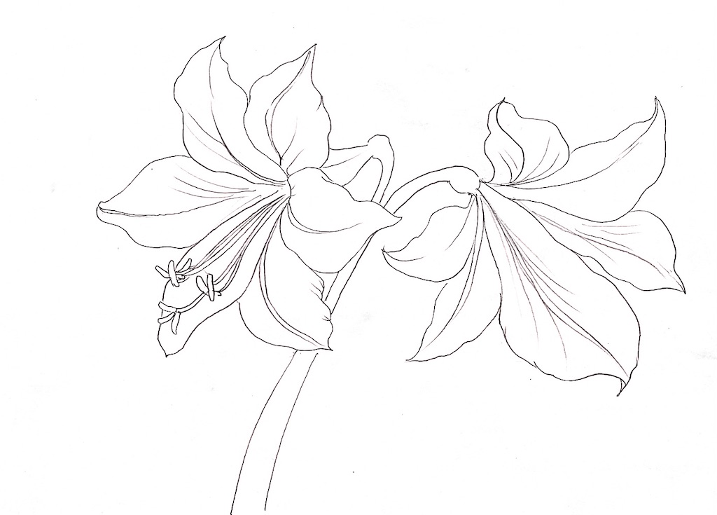 f:id:blossom-art:20210510182855j:image