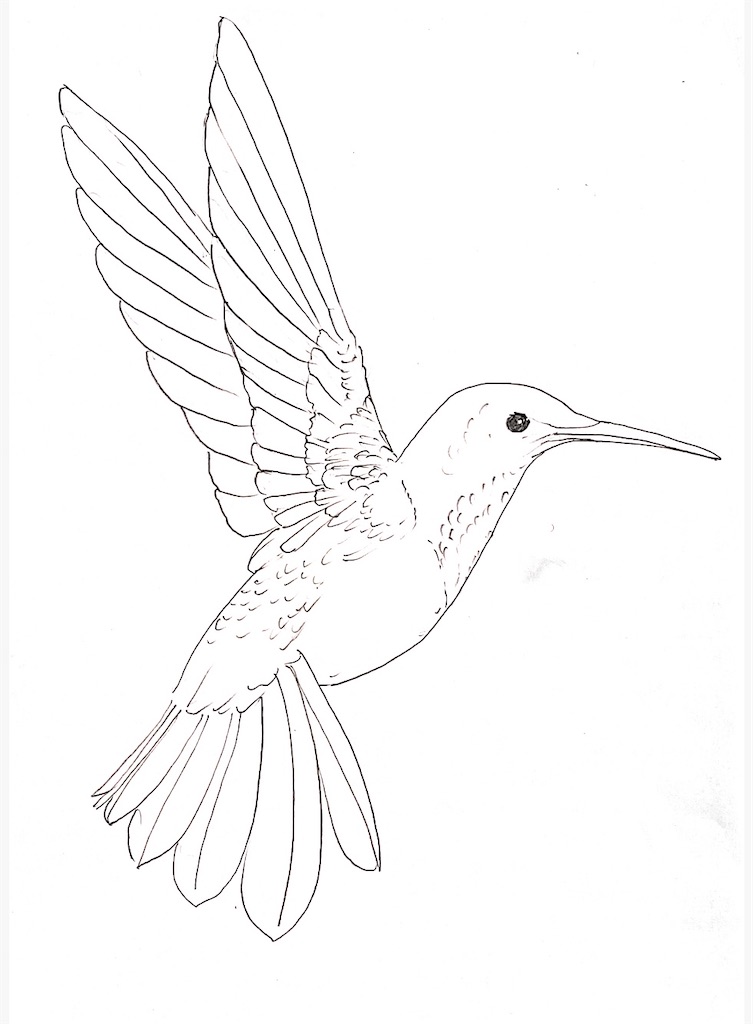 f:id:blossom-art:20210511200012j:image