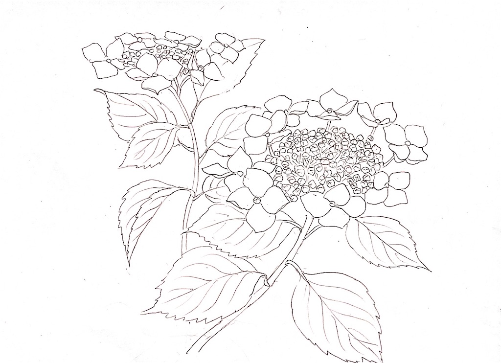 f:id:blossom-art:20210512195915j:image