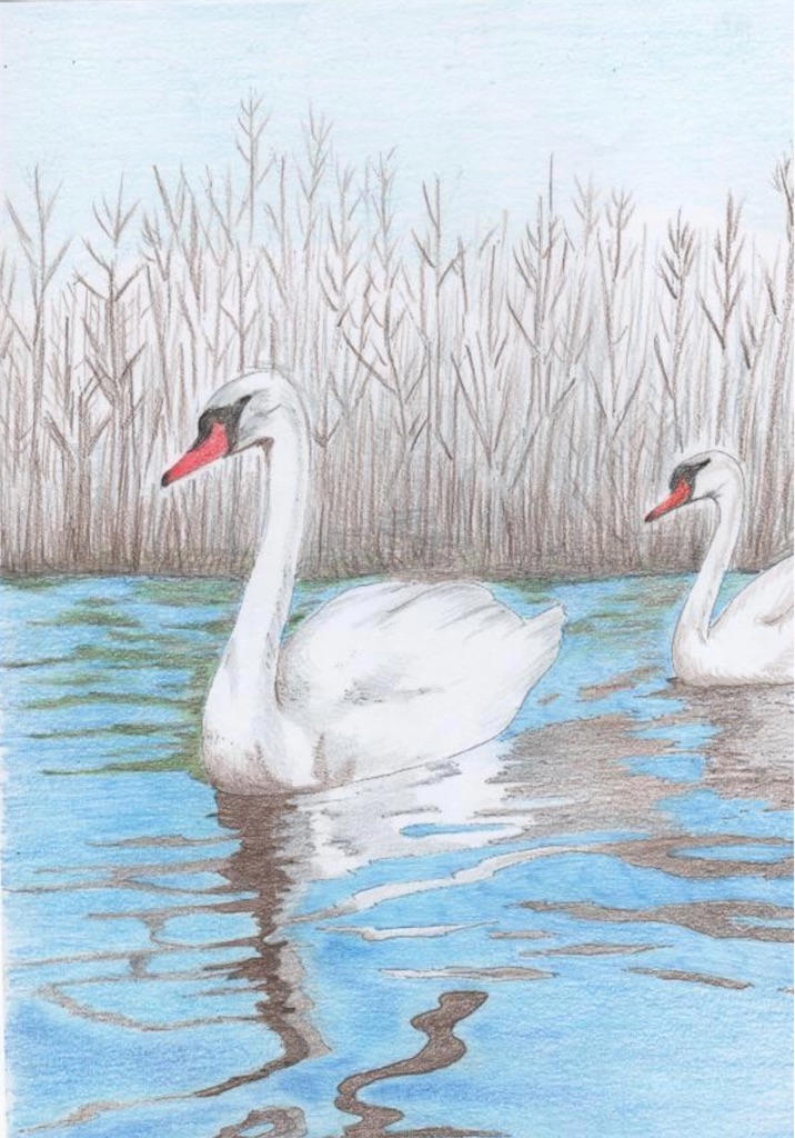 f:id:blossom-art:20210513221030j:image