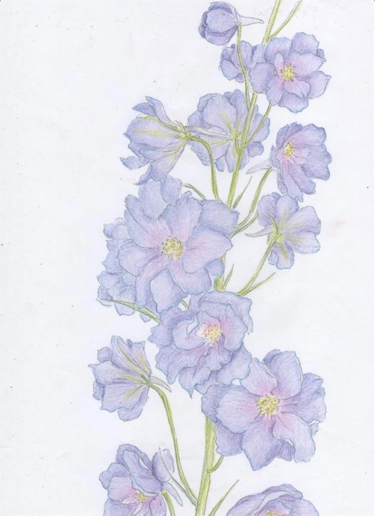 f:id:blossom-art:20210517203534j:image