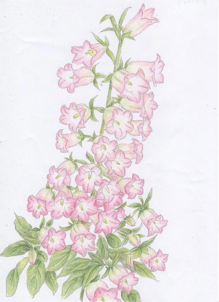 f:id:blossom-art:20210519185626j:image