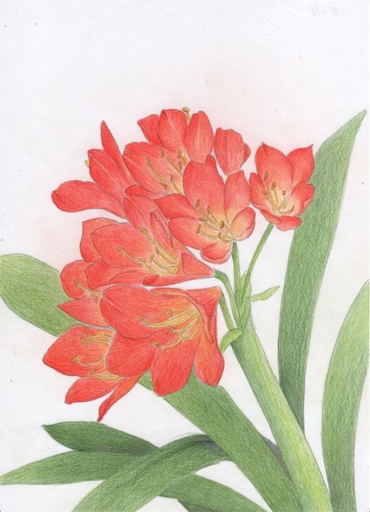 f:id:blossom-art:20210519185632j:image