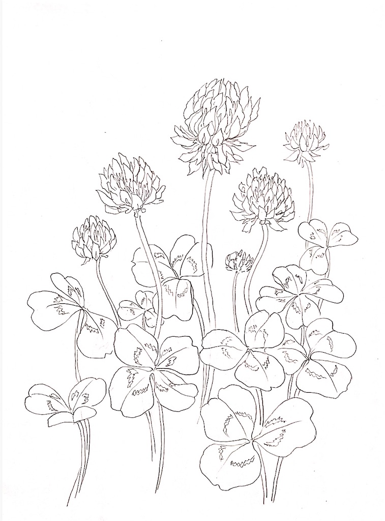 f:id:blossom-art:20210519185734j:image