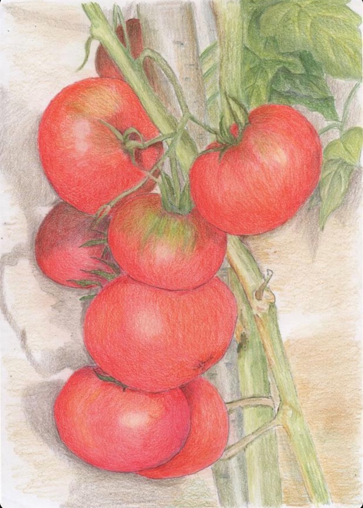 f:id:blossom-art:20210522182035j:image