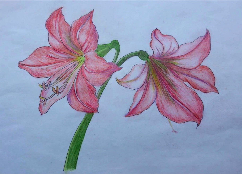 f:id:blossom-art:20210524164133j:image
