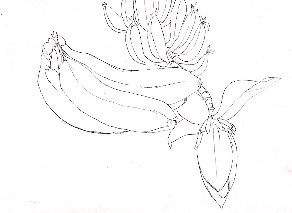 f:id:blossom-art:20210524194952j:image