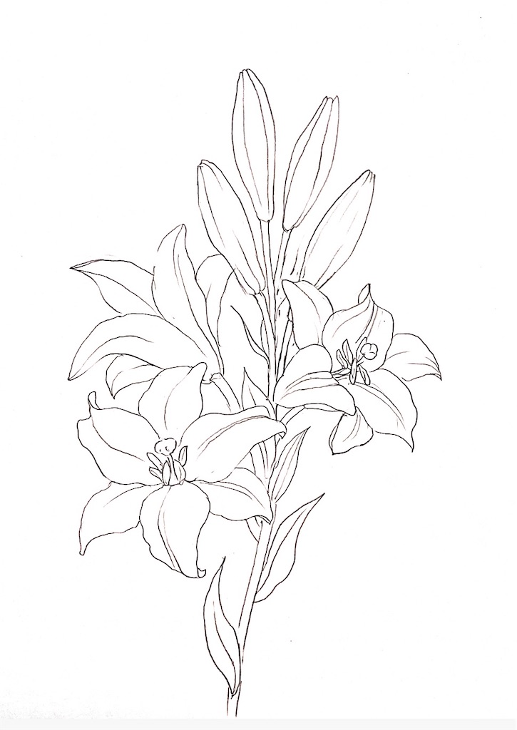 f:id:blossom-art:20210527184231j:image