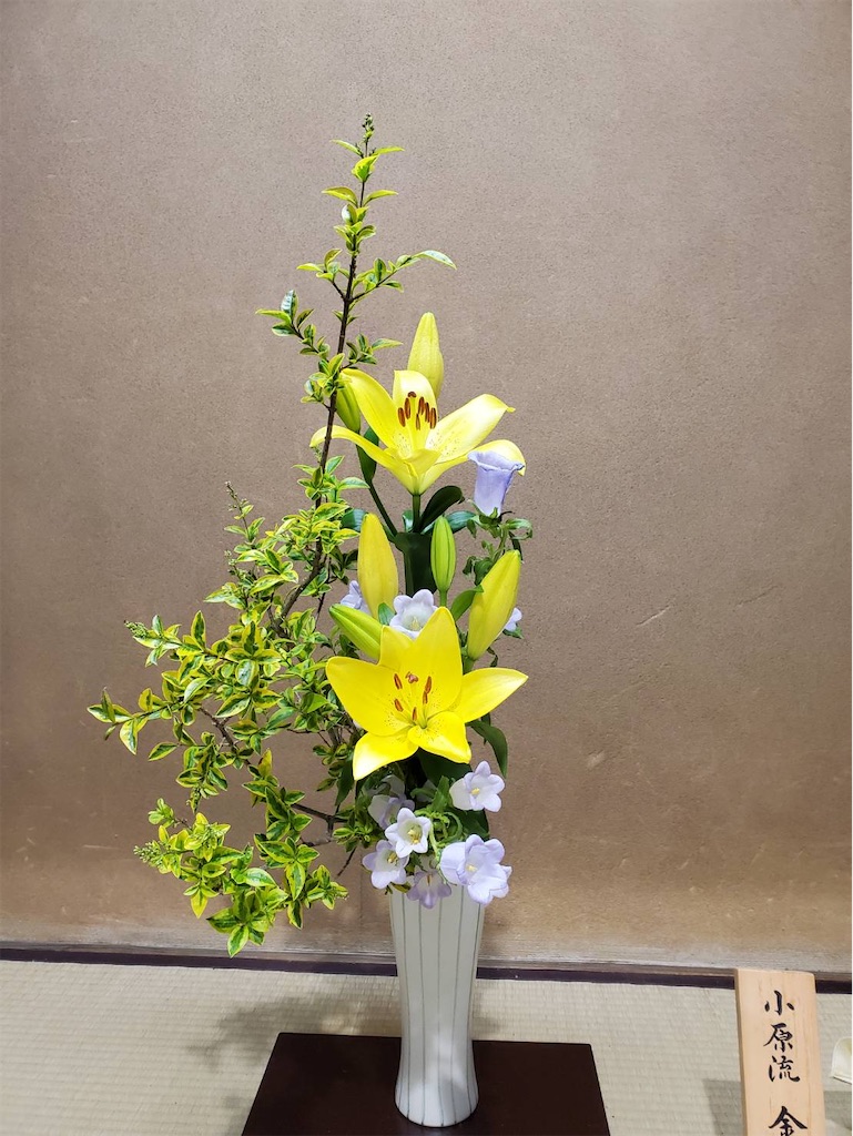 f:id:blossom-art:20210527185802j:image