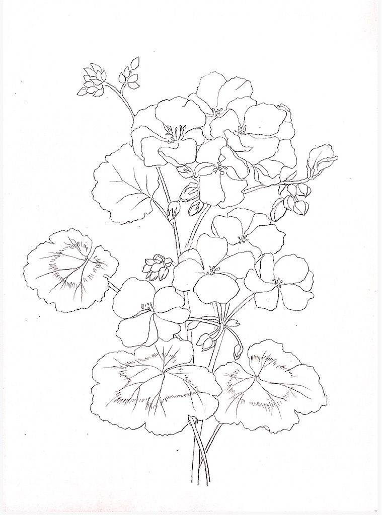 f:id:blossom-art:20210531194228j:image