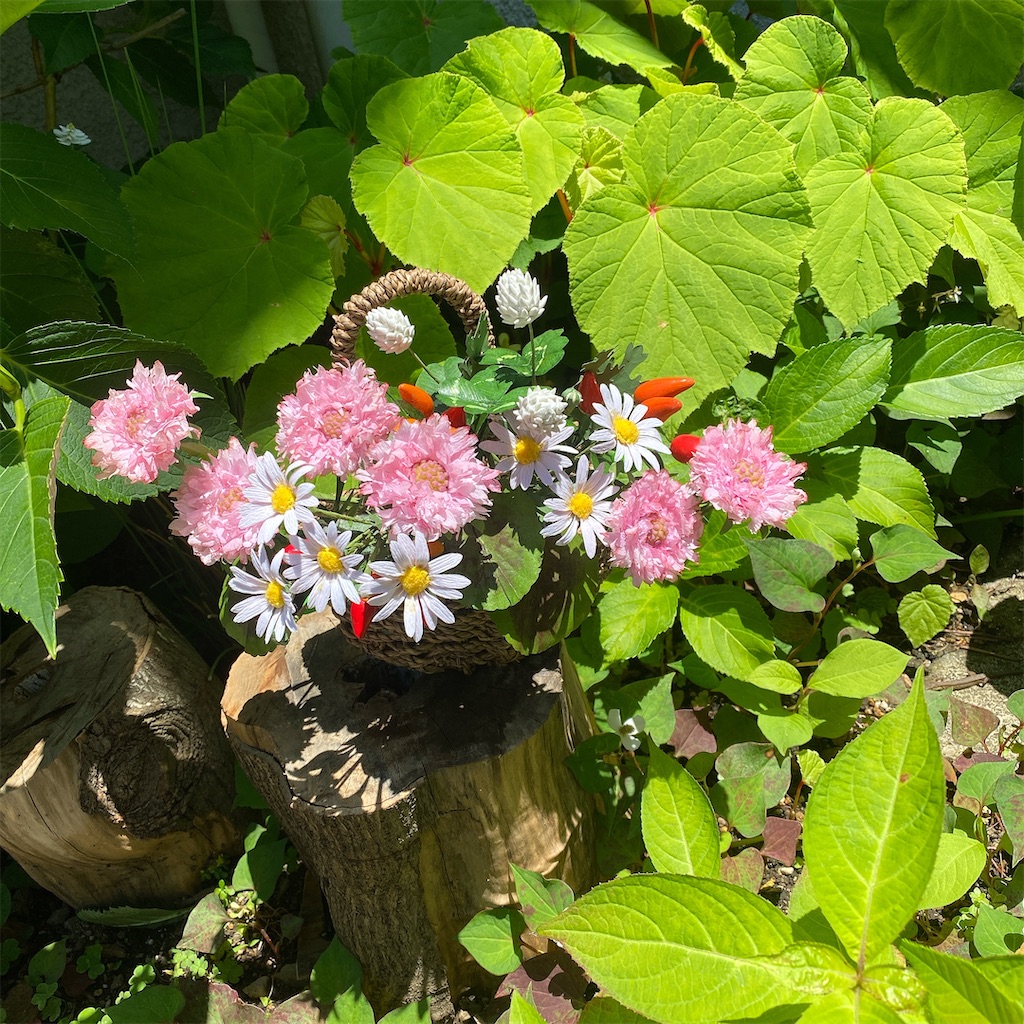 f:id:blossom-art:20210601213358j:image