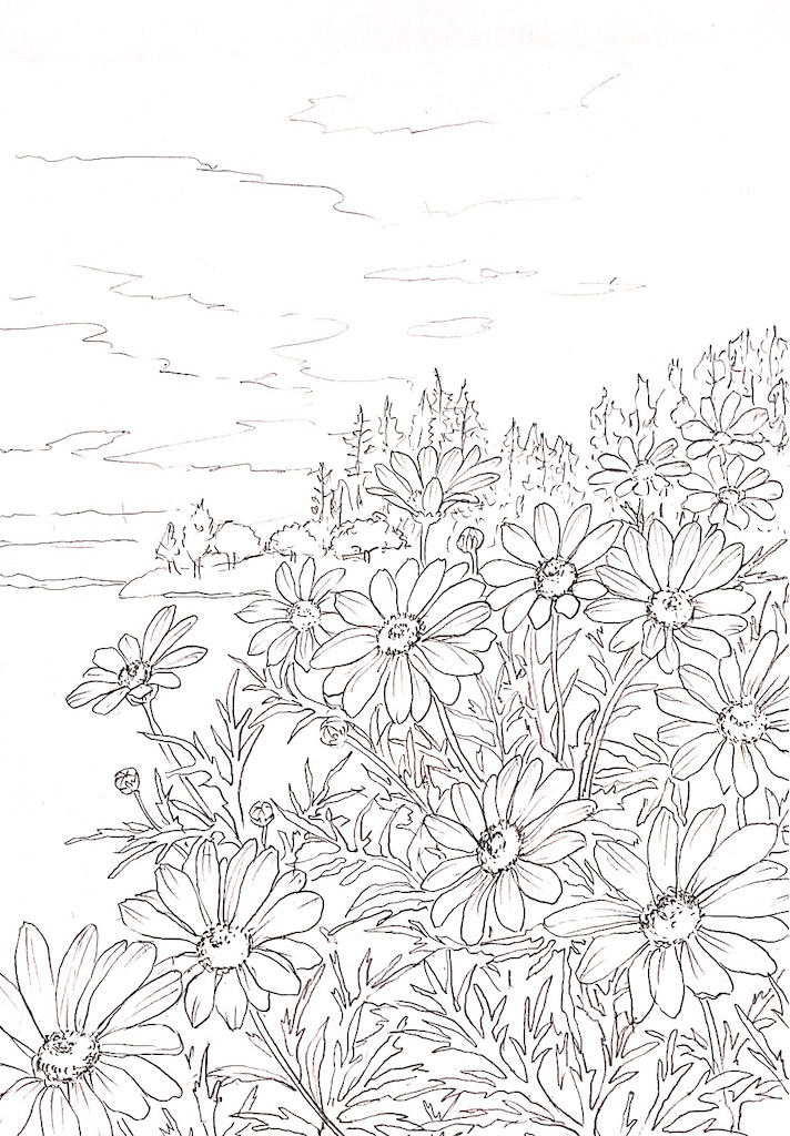 f:id:blossom-art:20210601213934j:image