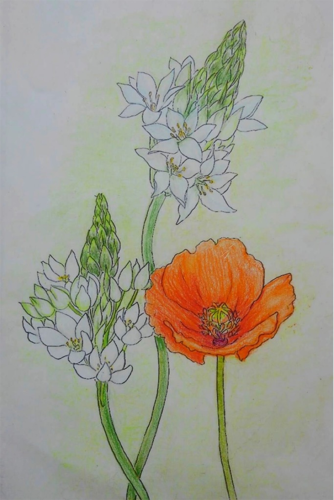 f:id:blossom-art:20210610184321j:image