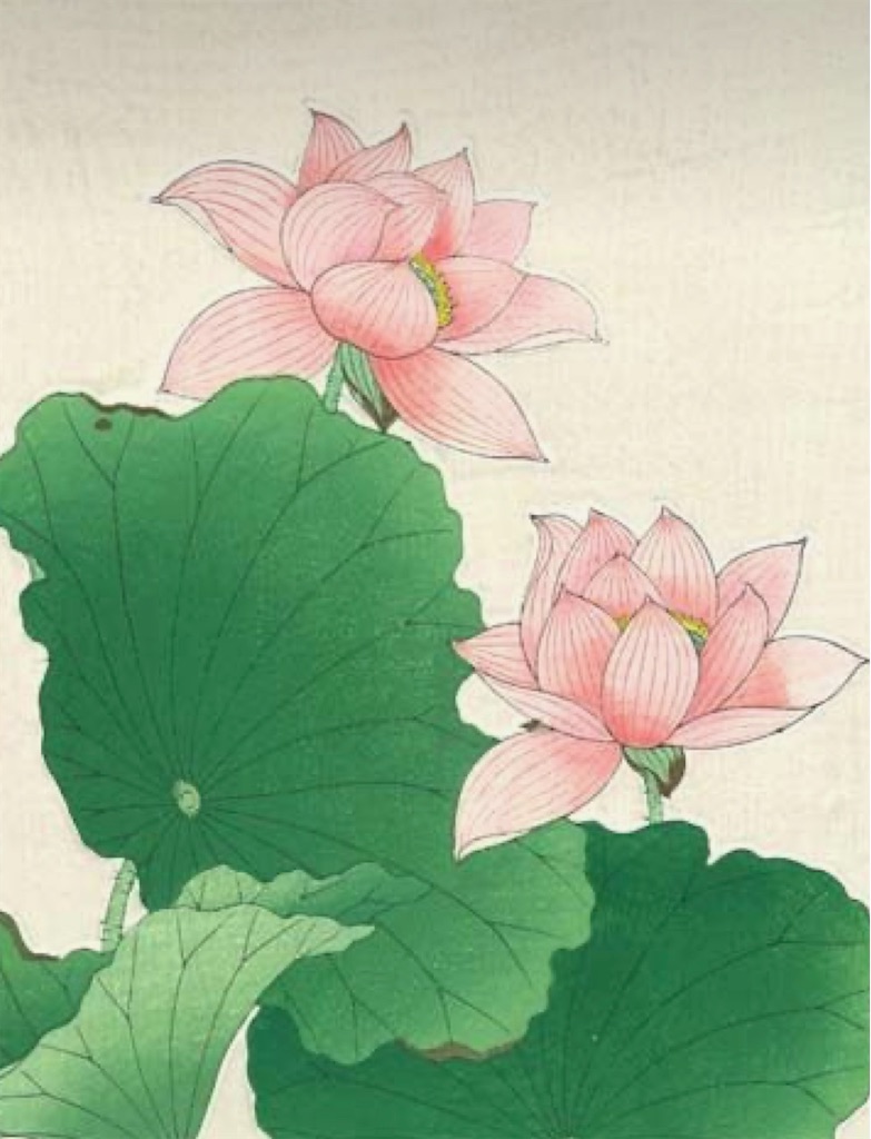 f:id:blossom-art:20210701182020j:image