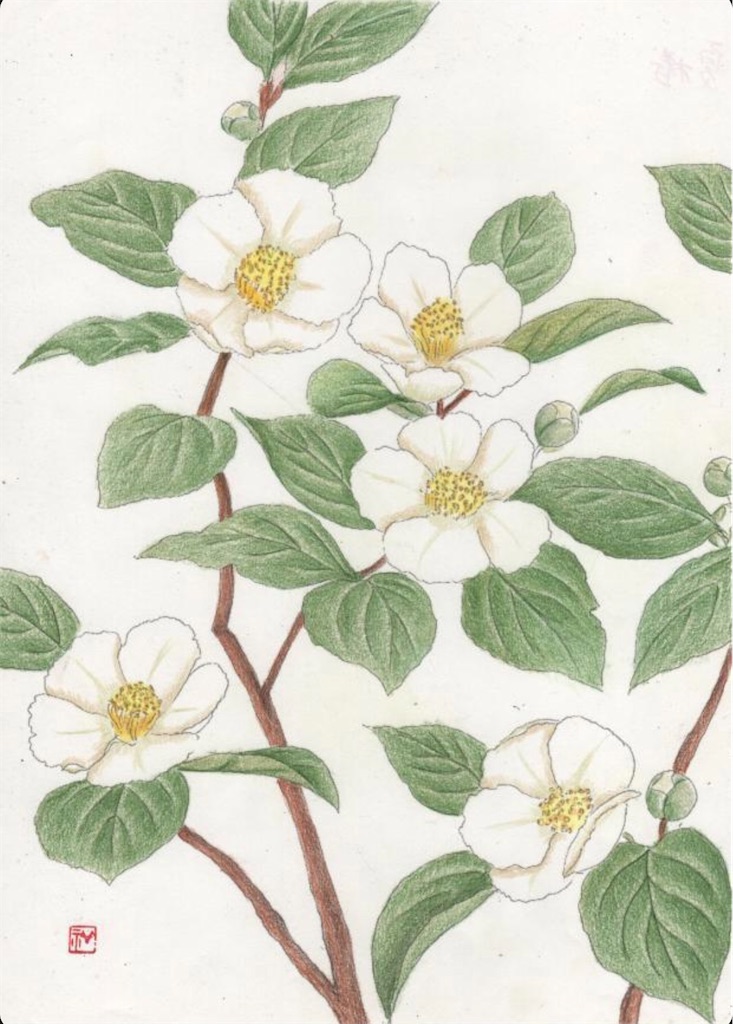 f:id:blossom-art:20210718205614j:image