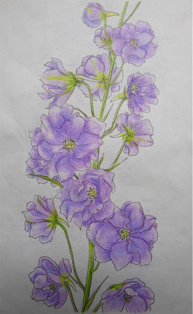 f:id:blossom-art:20210810175659j:image