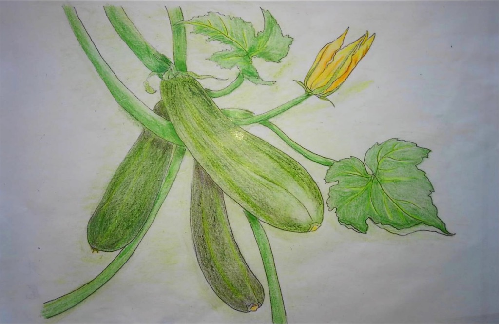 f:id:blossom-art:20210810175743j:image