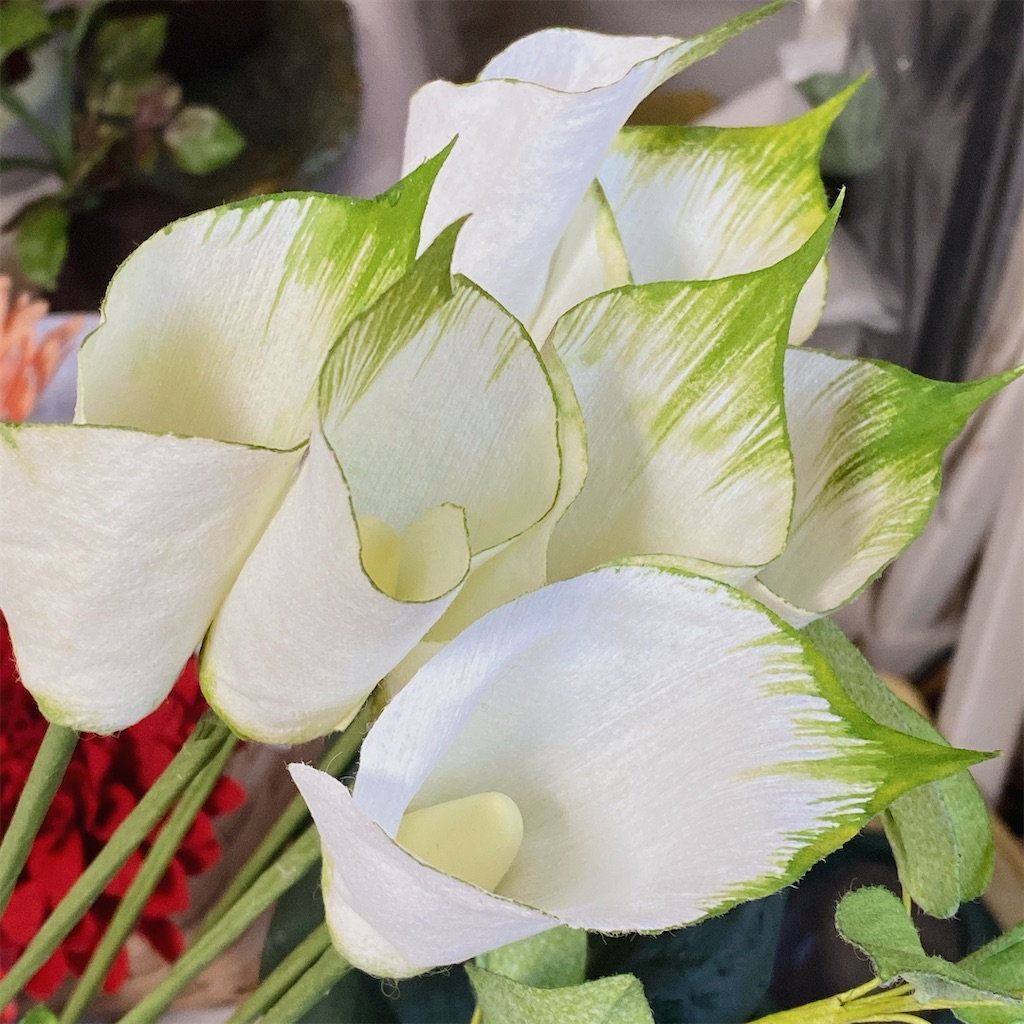 f:id:blossom-art:20210823174218j:image
