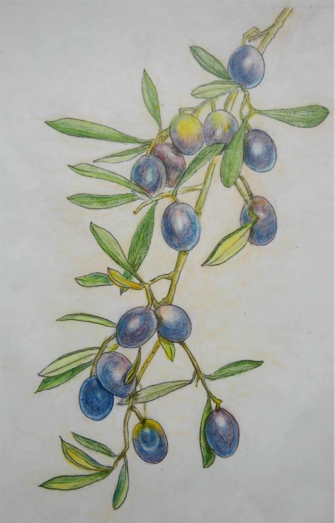 f:id:blossom-art:20210823175142j:image