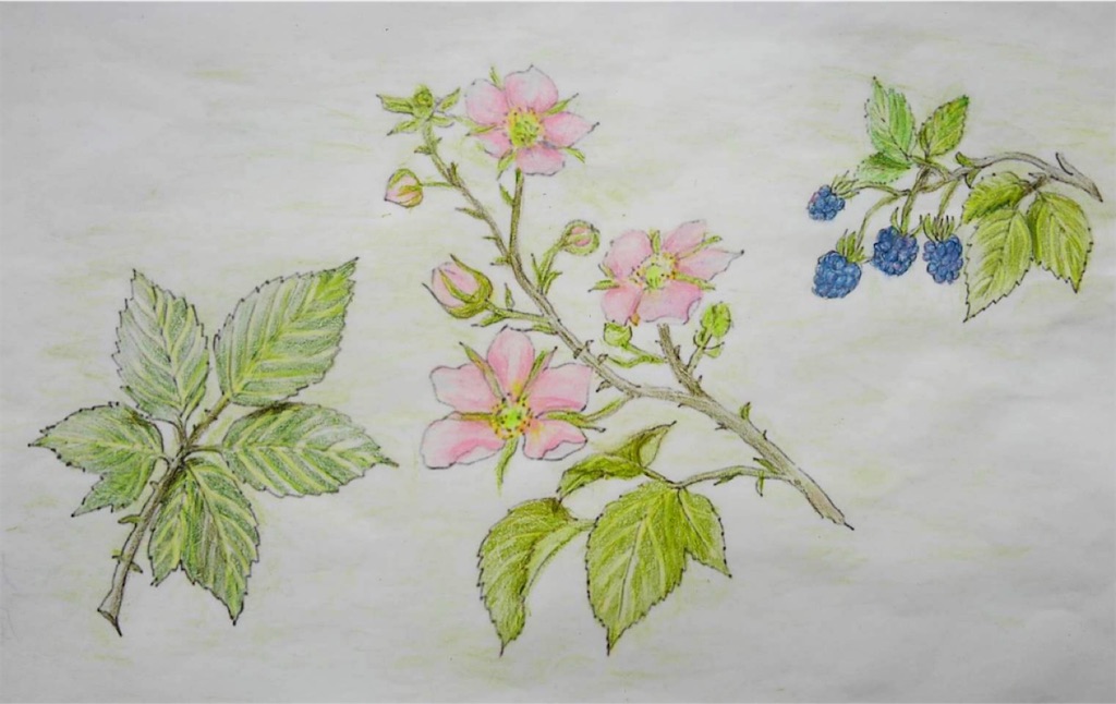 f:id:blossom-art:20210823175218j:image