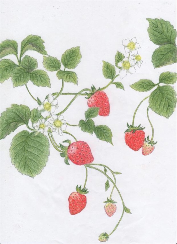 f:id:blossom-art:20210905180409j:image