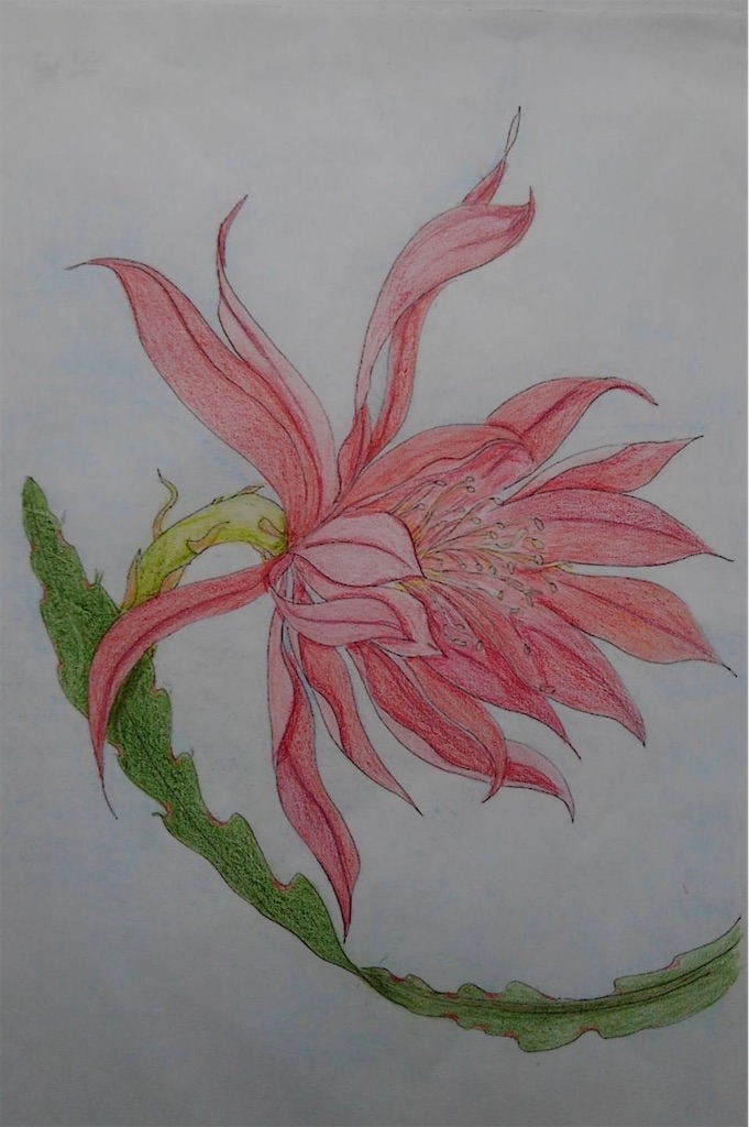 f:id:blossom-art:20210906193043j:image