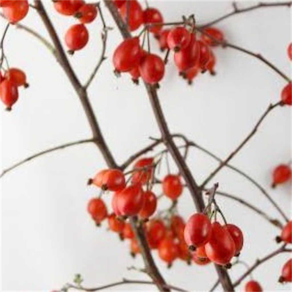 f:id:blossom-art:20210930145504j:image