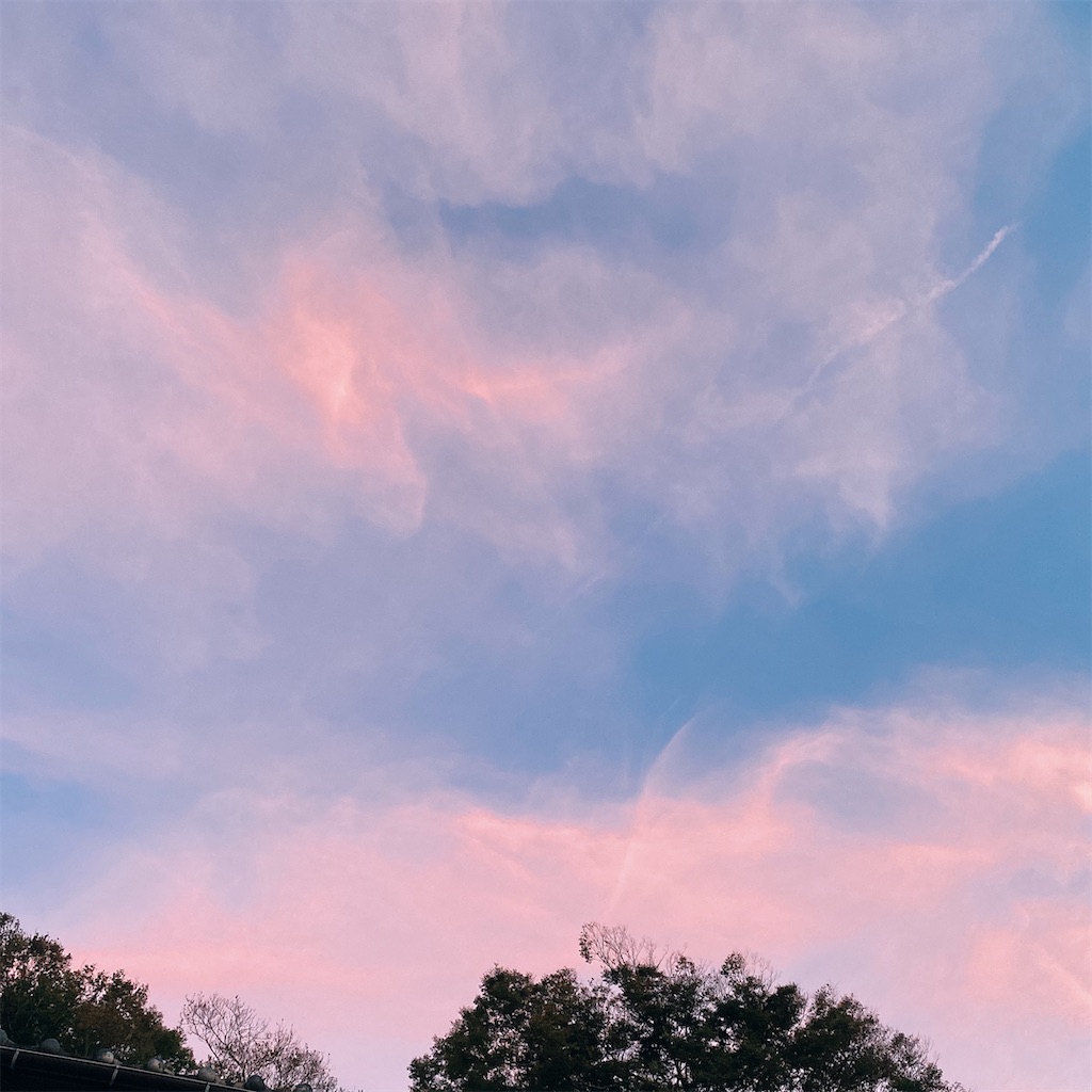 f:id:blossom-art:20211005180211j:image