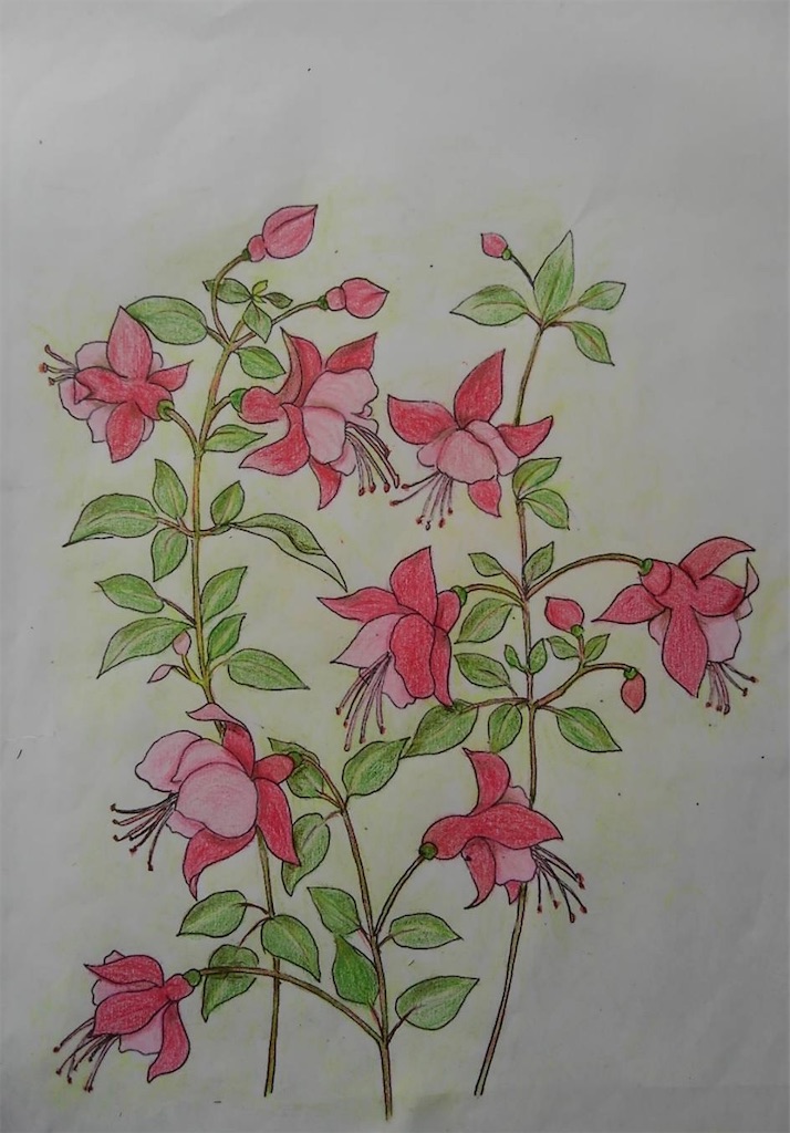 f:id:blossom-art:20211006211339j:image