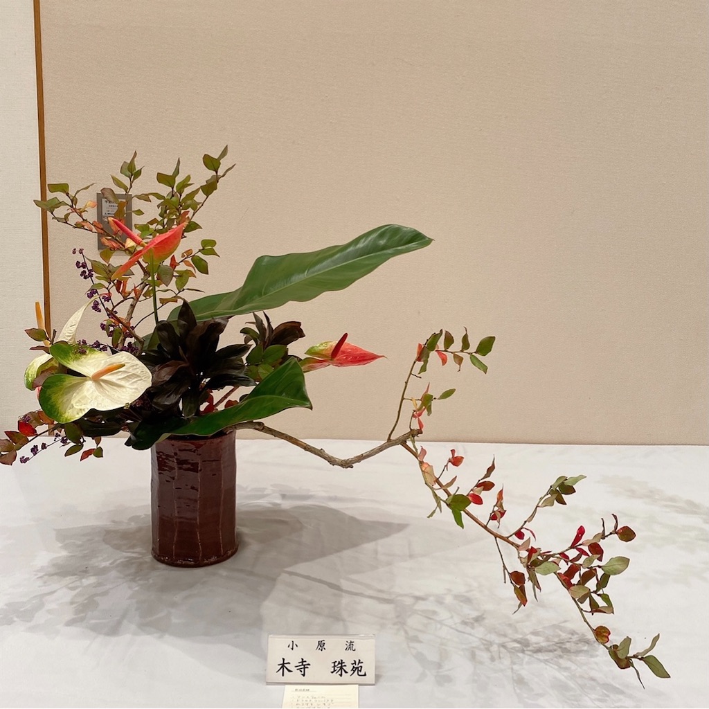 f:id:blossom-art:20211024220414j:image