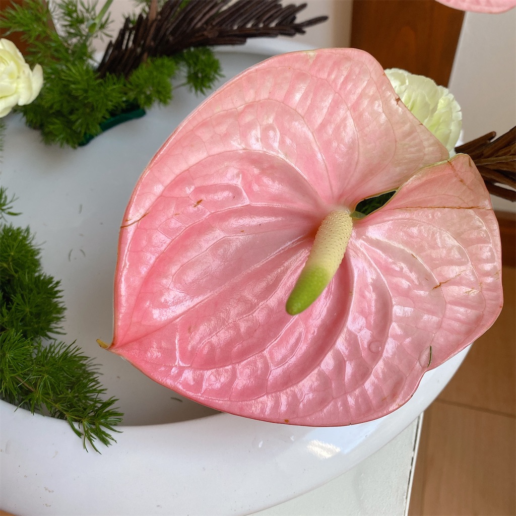 f:id:blossom-art:20211104145621j:image