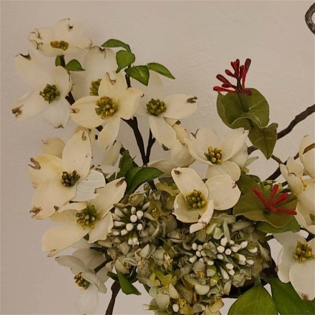 f:id:blossom-art:20211105183644j:image