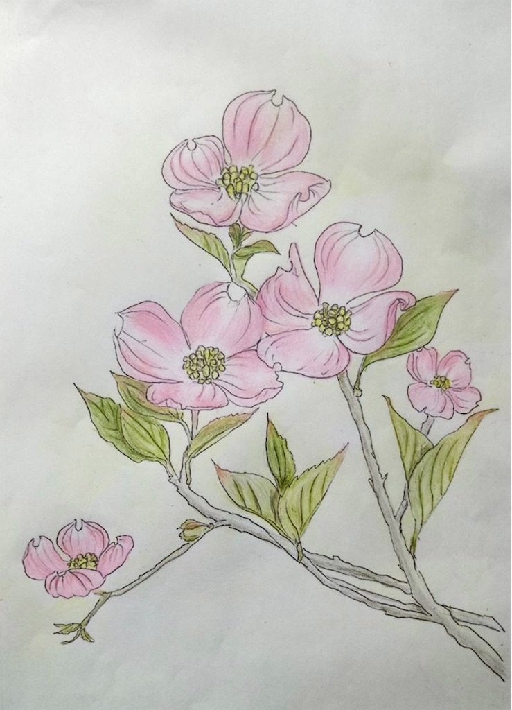 f:id:blossom-art:20211105183935j:image